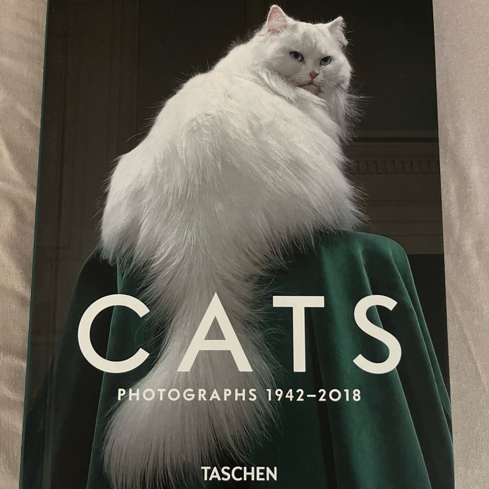 CATS Photographs 1942-2018 by Walter Chandoha